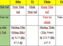 CÁC TUỔI PHẠM THÁI TUẾ VÀ TAM TAI NĂM NHÂM DẦN 2022